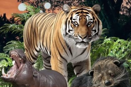 Taman Margasatwa Ragunan